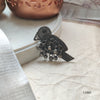 Jingling Flight: A Bird with a Ghungroo Accent
