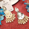 Beautiful Meenakari Long Ear Ornaments