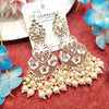 Beautiful Meenakari Long Ear Ornaments