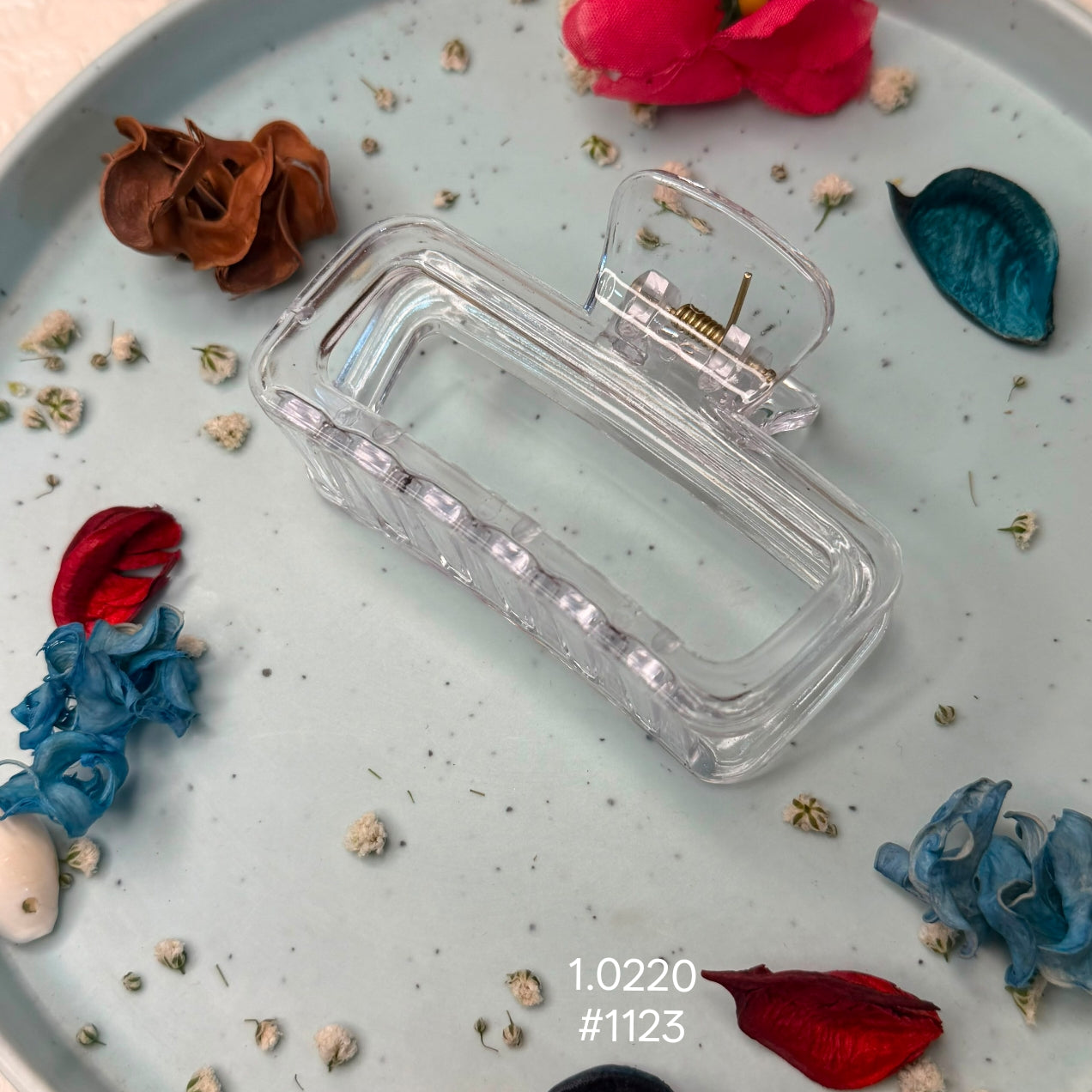 Transparent Rectangle Hair Claw Clip